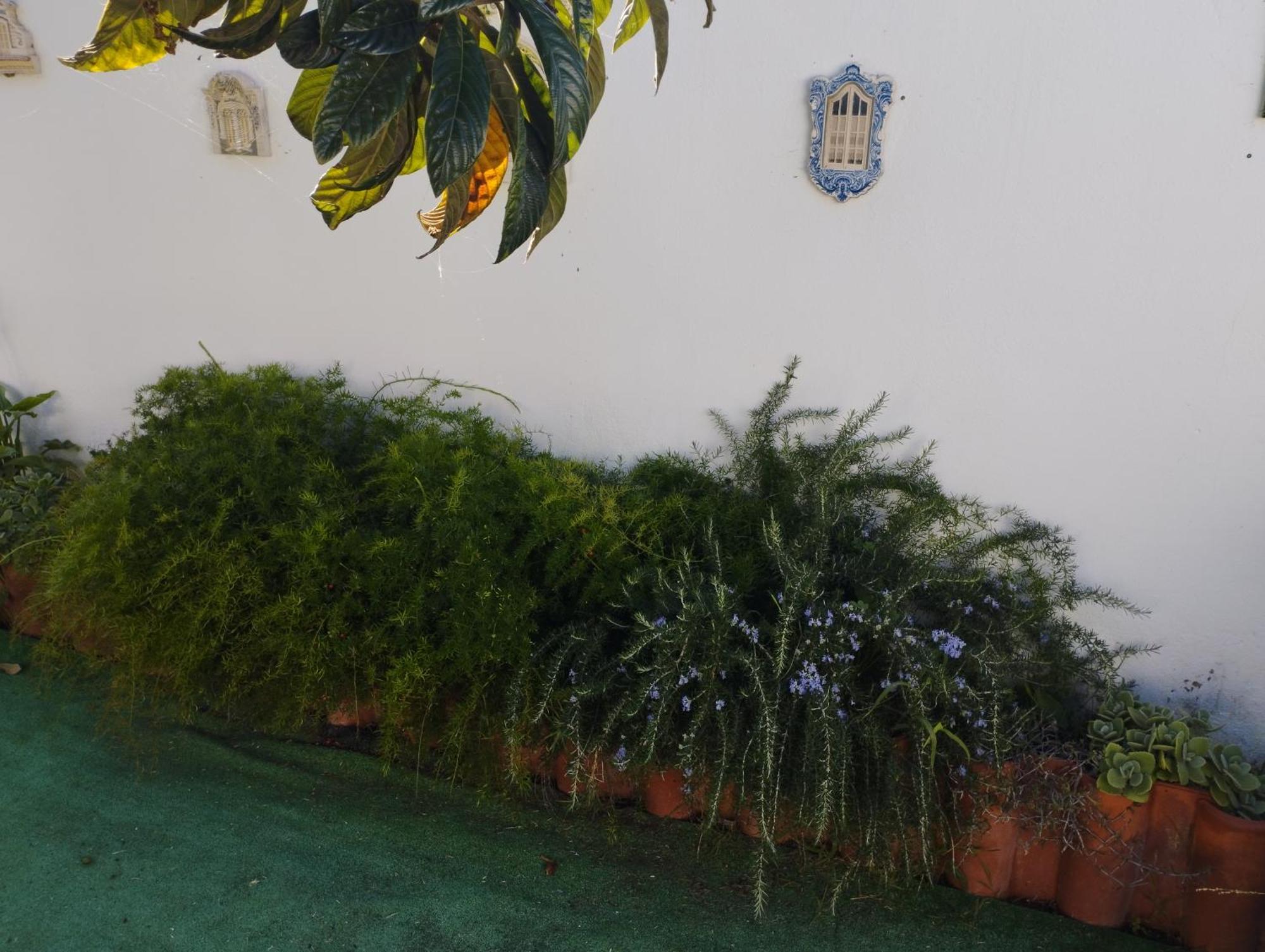 Casa Sarguito Hotel Sagres Eksteriør billede
